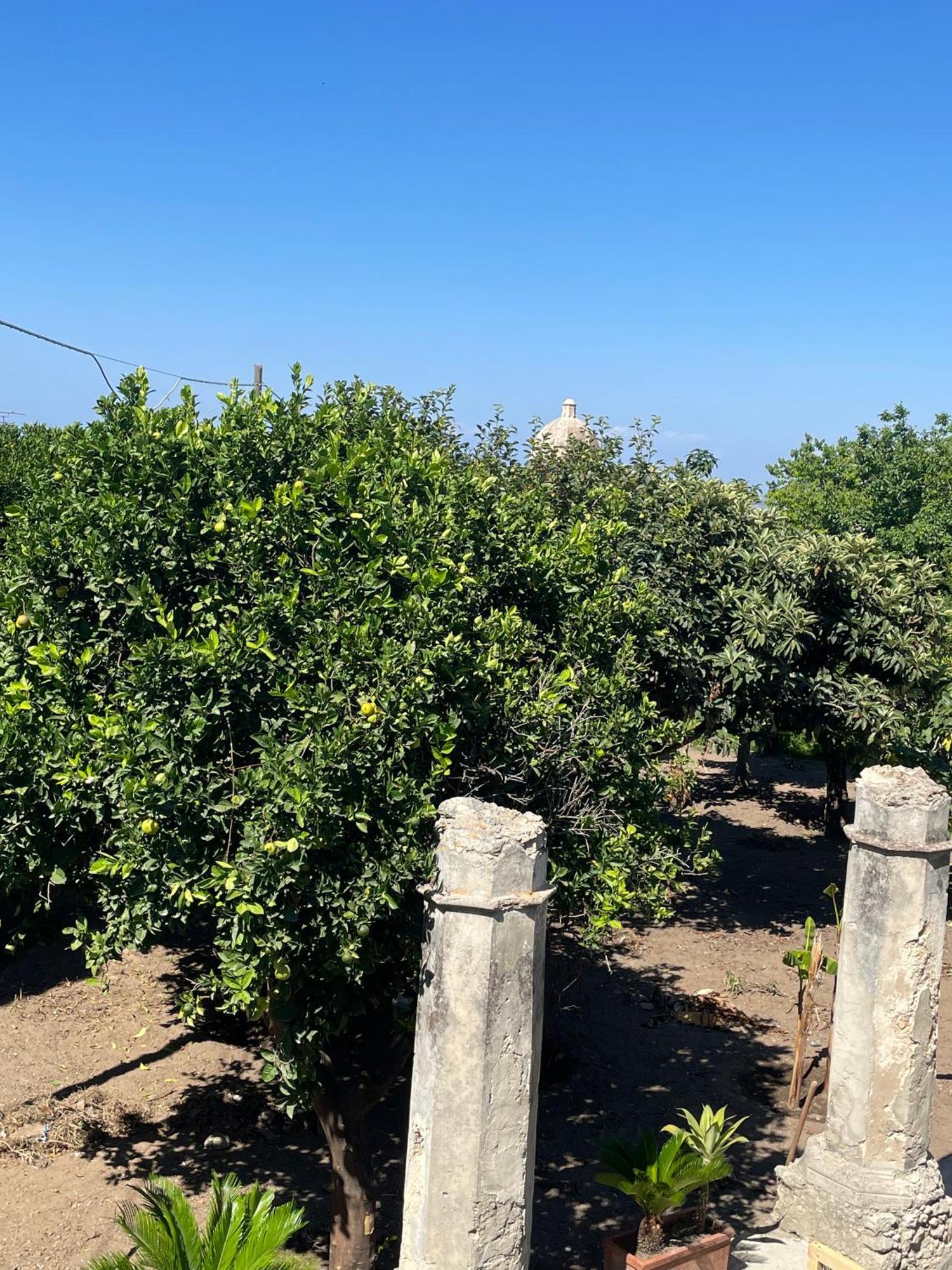 Tenuta La Torre Tropea Εξωτερικό φωτογραφία