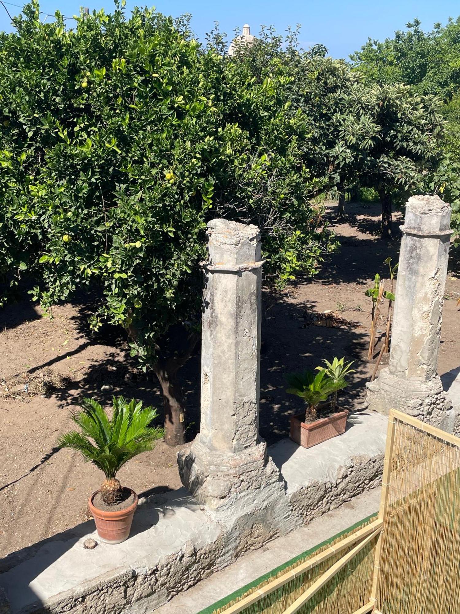 Tenuta La Torre Tropea Εξωτερικό φωτογραφία